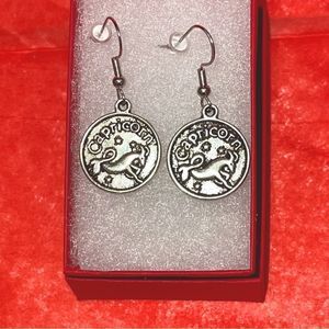CAPRICORN IRON & SILVER DOUBLE SIDED ZODIAC DROP EARRINGS